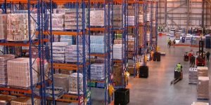 import export business in India